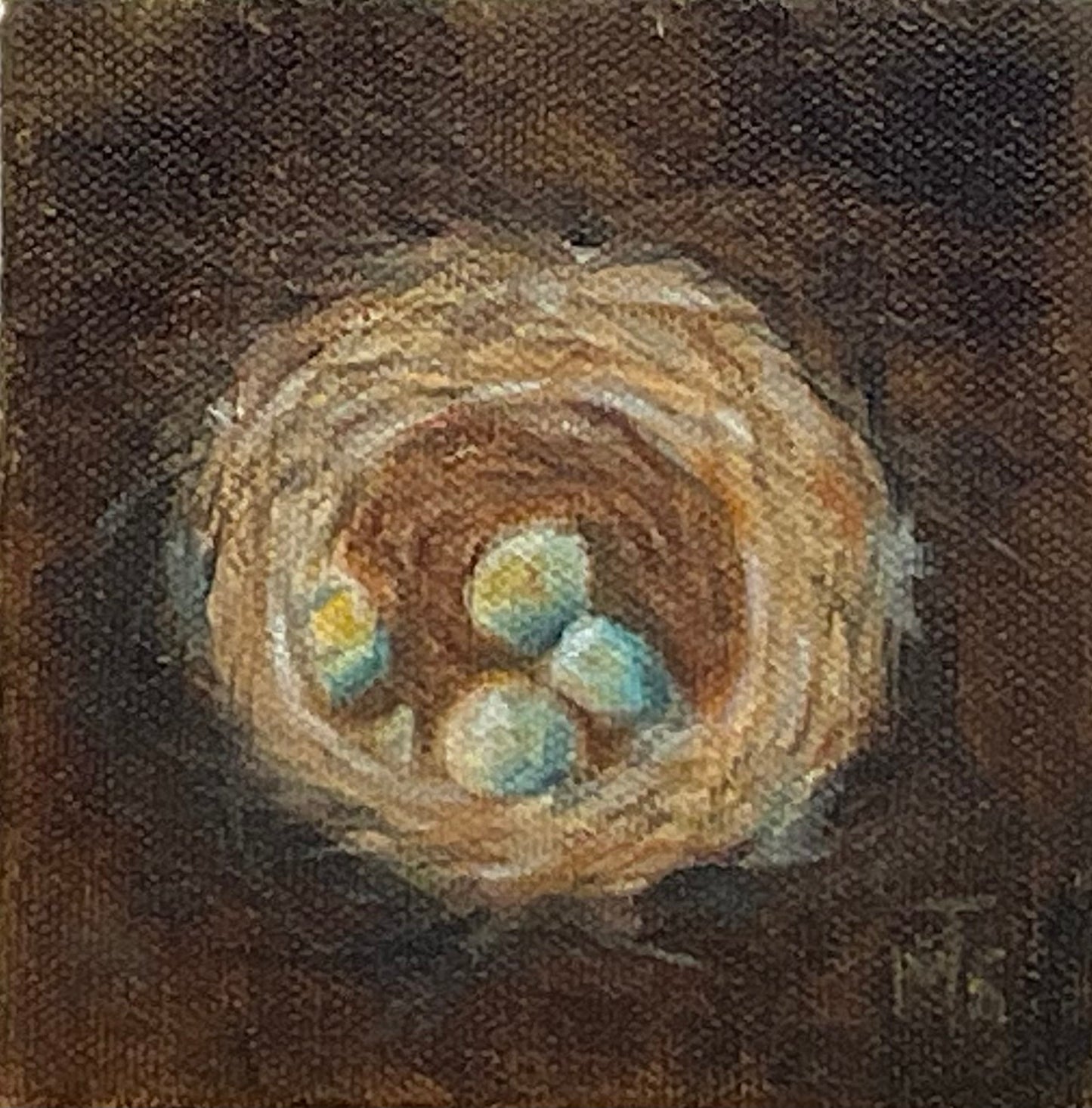 Robin's Nest