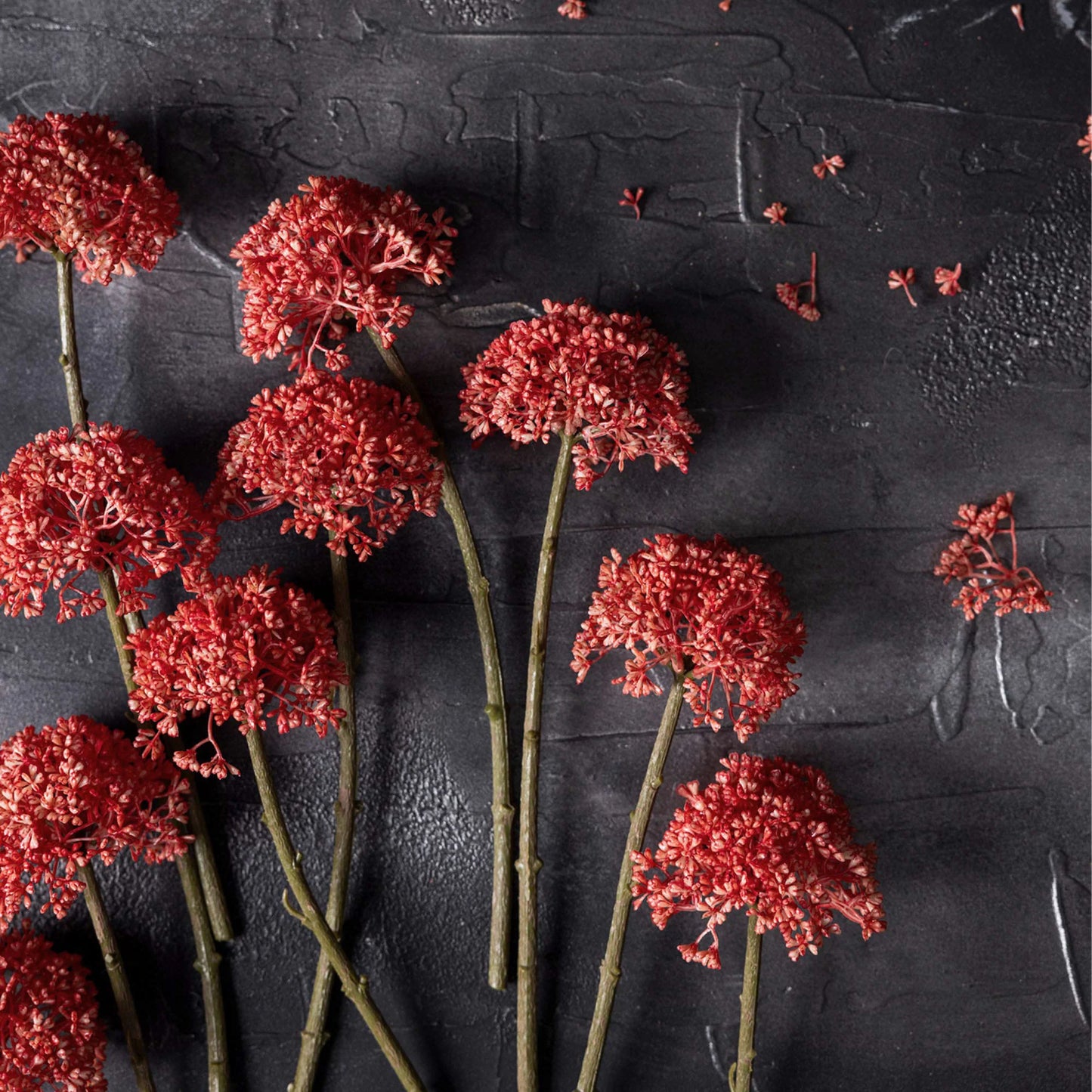 Faux Coral Sedum