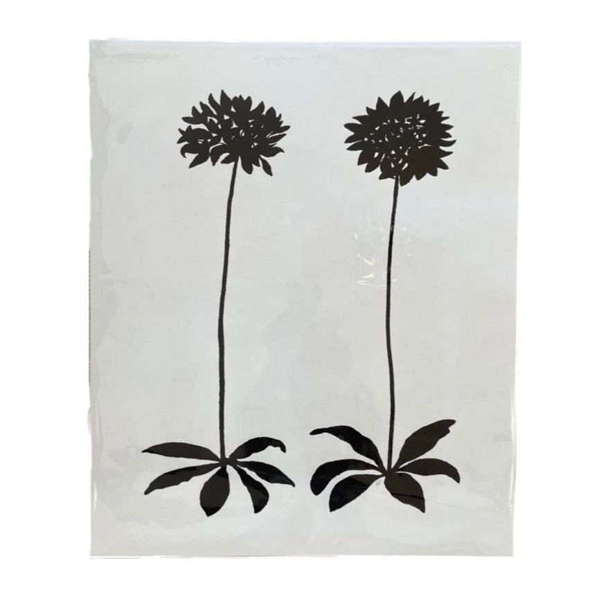 Black and White Botanical Giclee - 20 x 24