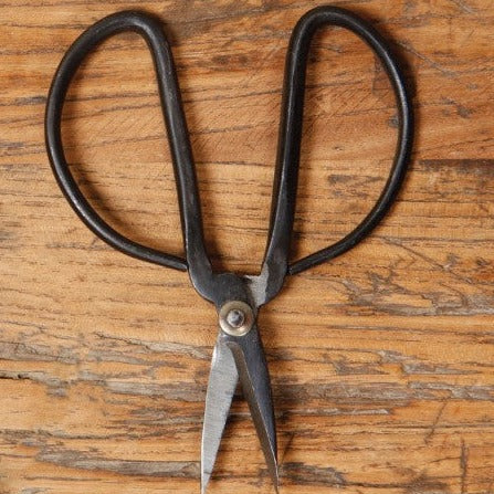 Forged Iron Shears
