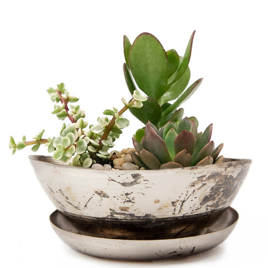 Metal Indoor Plant Pot