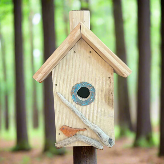 For the Birds by Lenna