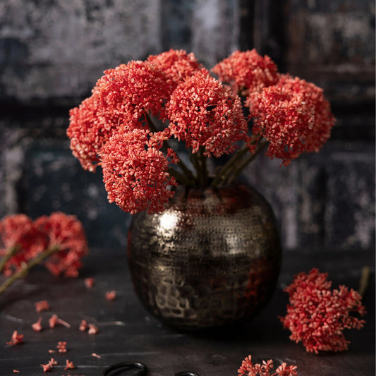 Faux Coral Sedum