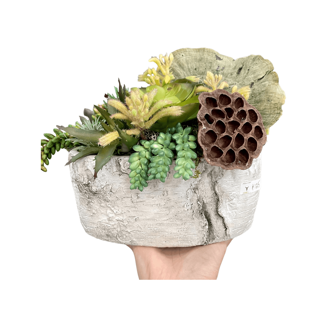 Faux Succulent planter - HOME