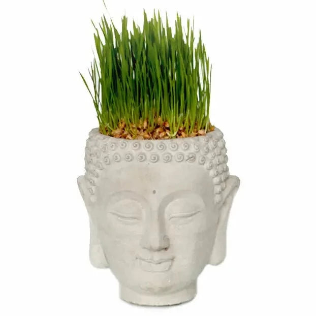 Cement Buddha Head Planter