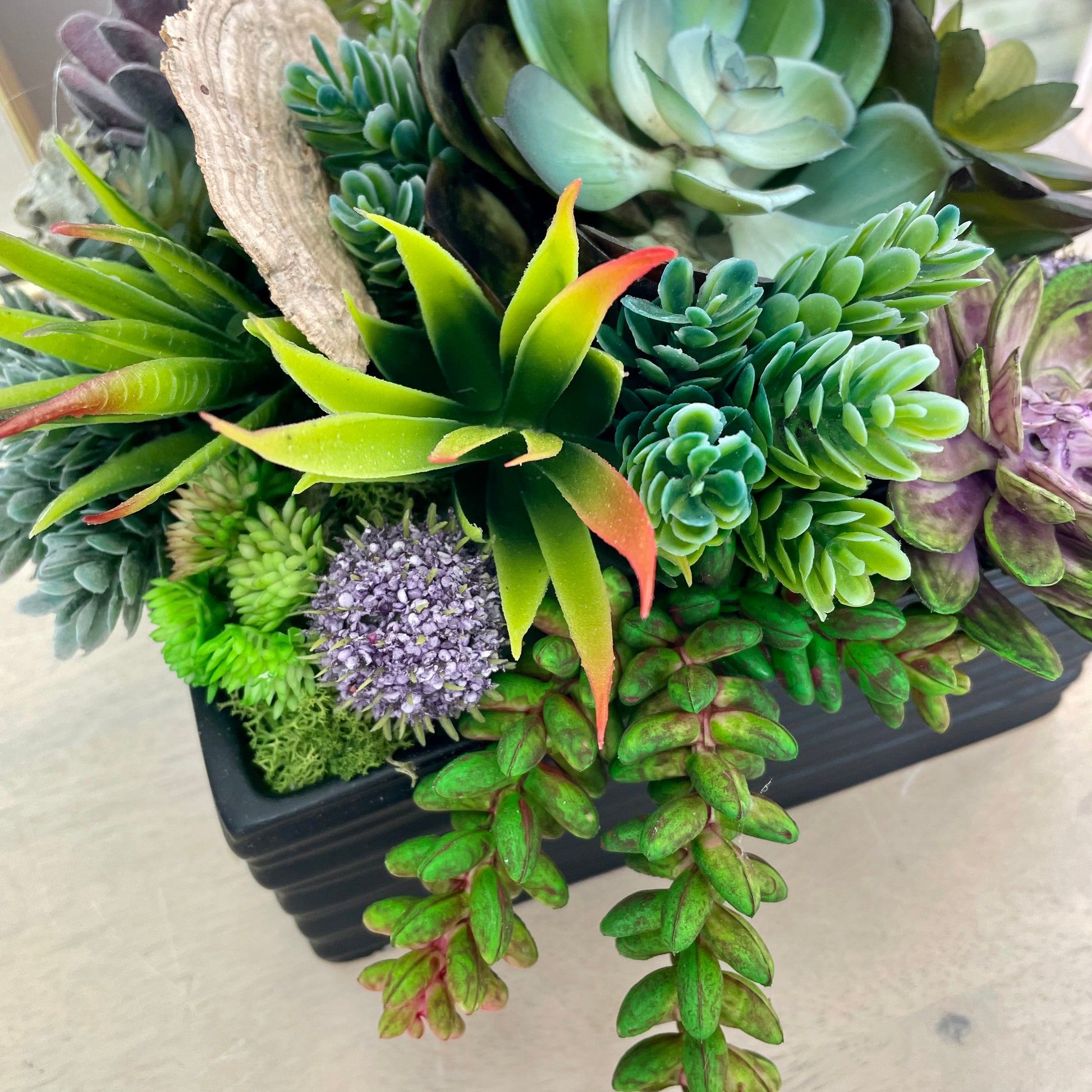 Faux Succulent planter - HOME